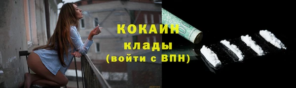 трава Белокуриха