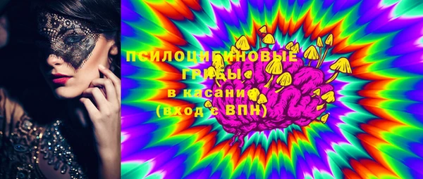 тгк Богданович